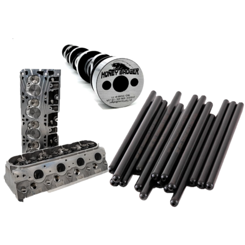 Texas Speed Honey Badger 535HP Heads and Camshaft Package for 6.0L 6.2L w/ Rectangle Port