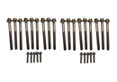 AMS Racing "Eagle Head Swap" Camshaft Kit for 2003-2008 5.7L Hemi